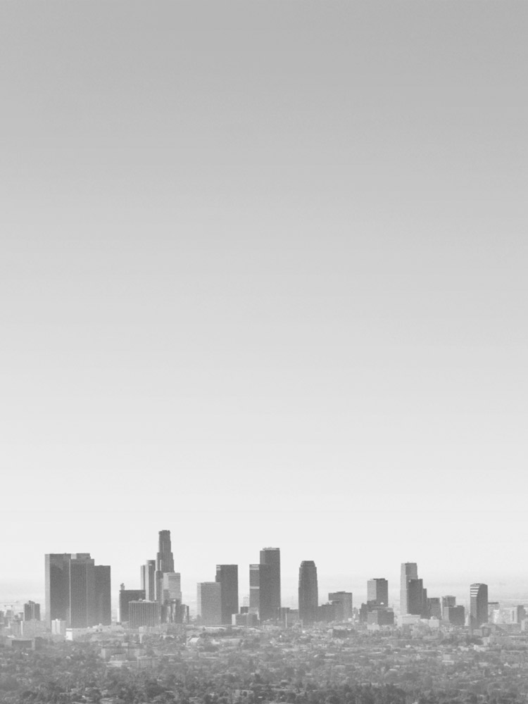 DTLA-print